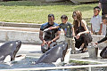 30546ef_jolie_a_b_gr_01 copy